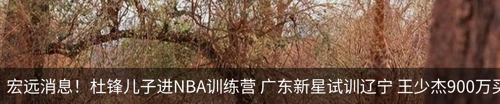 资讯中心