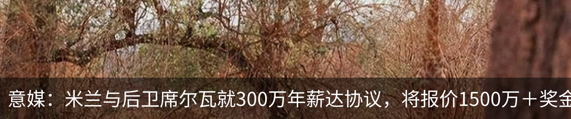 资讯中心